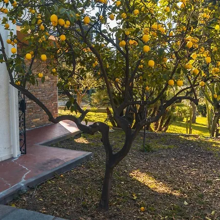 Lägenhet Lemon With Garden And Sea View By Wonderful Italy *
